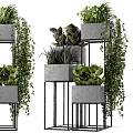 Modern Decorative Plant Set With Concrete Pots Metal Stands And Green Plants