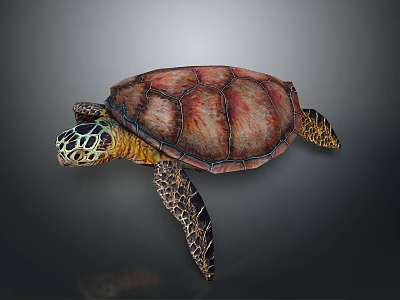 Colorful Sea Turtle With Green Yellow Patterned Head And Red Brown Shell 3d model