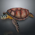 Colorful Sea Turtle With Green Yellow Patterned Head And Red Brown Shell 3d model