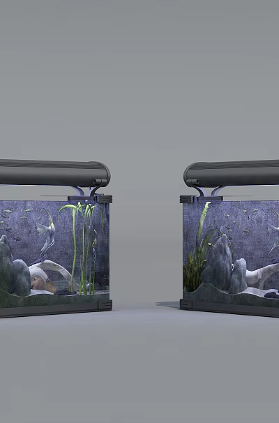Aquatic Animals In Two Fish Tanks With Aquatic Plants And Decorations 3d model