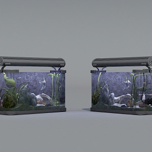 fish tank pet fish 3d model