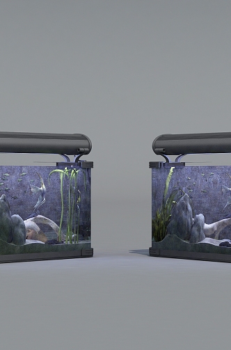 fish tank pet fish 3d model