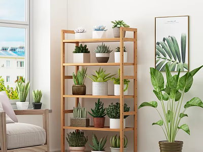 Indoor Garden Decor With Wooden Multi tiered Shelf Various Potted Plants And Large Green Plant 3d model