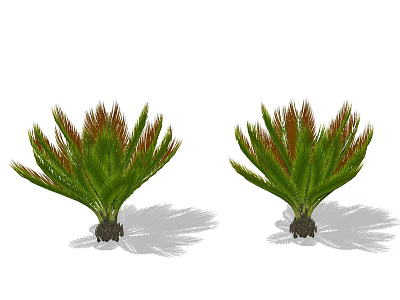 Two Tropical Trees with Green Fronds and Red Edges Isolated on White Background 3d model
