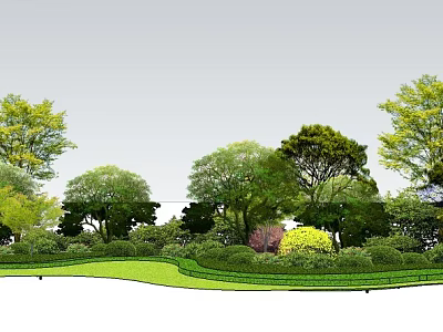 Lush Arbor Trees In Garden Landscape With Green Lawn And Shrubs 3d model