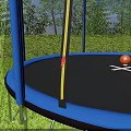 Outdoor Trampoline With Blue Frame Black Mat Ladder Orange Ball Basketball Hoop On Green Lawn