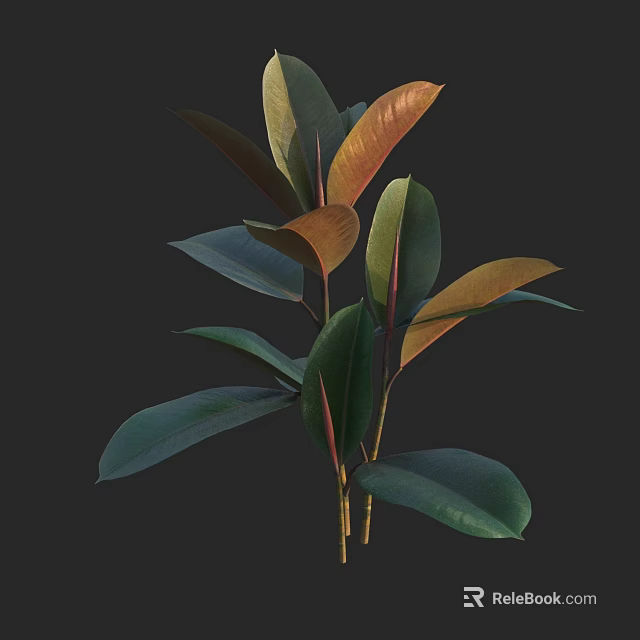 Indoor Tree With Green And Orange Broad Leaves For Home Decoration 3d model 