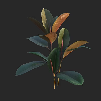 Indoor Tree With Green And Orange Broad Leaves For Home Decoration 3d model