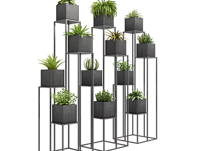 Bonsai Potted Plants with Black Pots on Metal Stands Various Green Plants in Tiered Arrangement 3d model