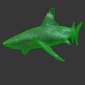 Gray Shark Swimming In Ocean With Sharp Fin And Powerful Tail 3d model