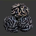 3D Rendered Human Brain Model Medical Device for Neuroscience Research and Anatomy Education