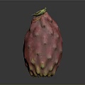 Fresh Red Dragon Fruit With Green Spikes And Vibrant Ripe Exterior