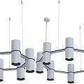 Modern Chandeliers With Circular Frame And Black White Multiple Light Fixtures 3d model