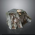 Natural Scene Of Weathered Tree Stump With Small Mushrooms Growing On Top