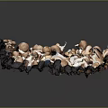 Fresh Brown And White Mushrooms Pile With Different Sizes And Healthy Vegetables