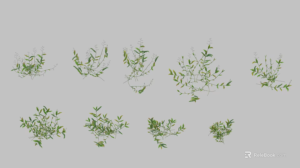 Assorted Green Herbaceous Vines With Leafy Branches And Small Shoots 3d model