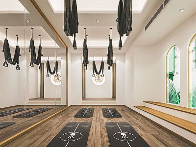 Modern Yoga Studio Yoga Studio Fitness Room Exercise Room Gym Pilates Exercise Room Yoga Mat Hanging Rope model