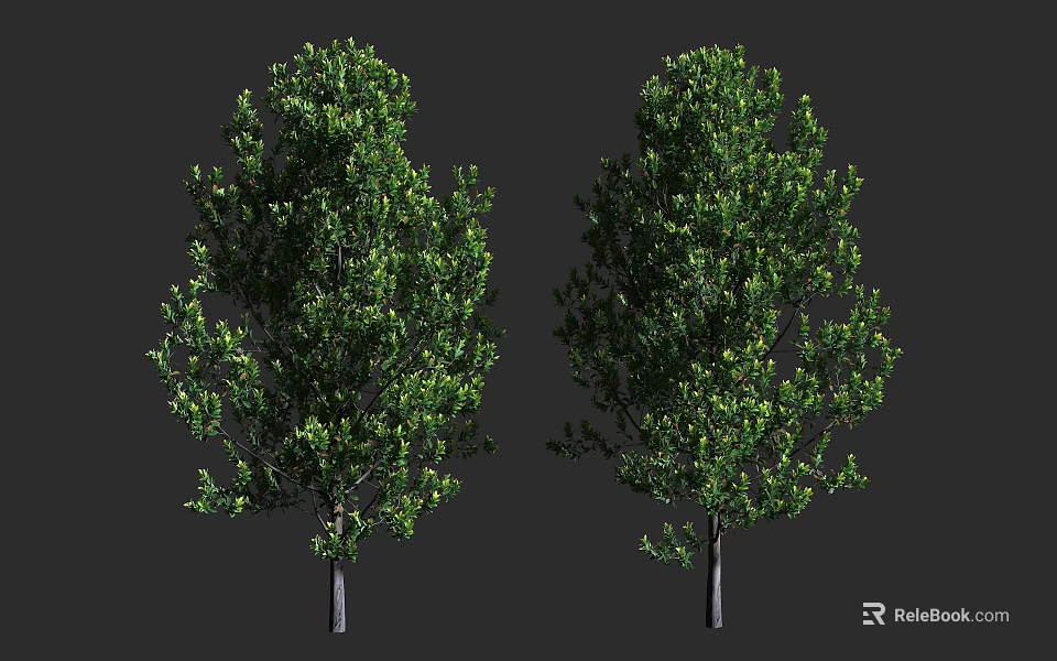 Two Arbor Trees With Lush Green Leaves And Dark Trunks Natural Look 3d model 