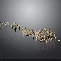 Animal Bones of Various Sizes with Porous Surfaces Arranged on Gray Background