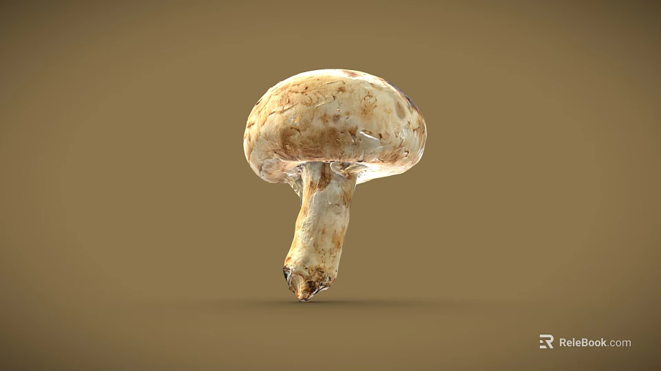 Fresh Natural Mushroom With White Cap Brown Spots And Smooth Stem On Plain Brown Background 3d model 