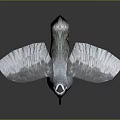 Flying Animal Bird With Spread Wings Blue Feathers And Black White Head