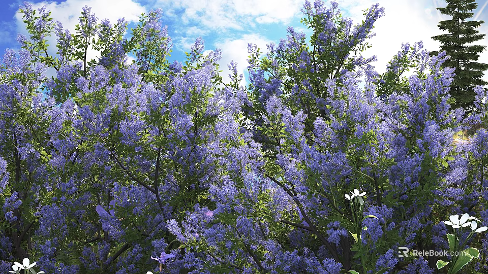 Beautiful Purple Flowers Blooming In Lush Trees With Blue Sky Background 3d model 