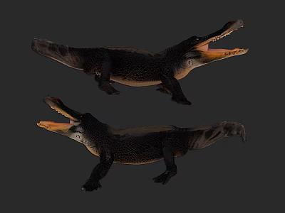Reptile Alligator with Open Mouth and Detailed Skin Texture in Natural Posture 3d model