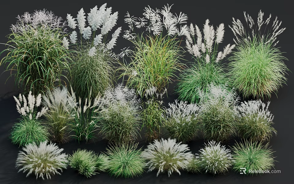 Ground Cover Plants With Various Ornamental Grasses Green And White Foliage 3d model 