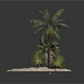 Tropical Island Scene With Sandy Beach Palm Tree Wooden Fence And Bottle
