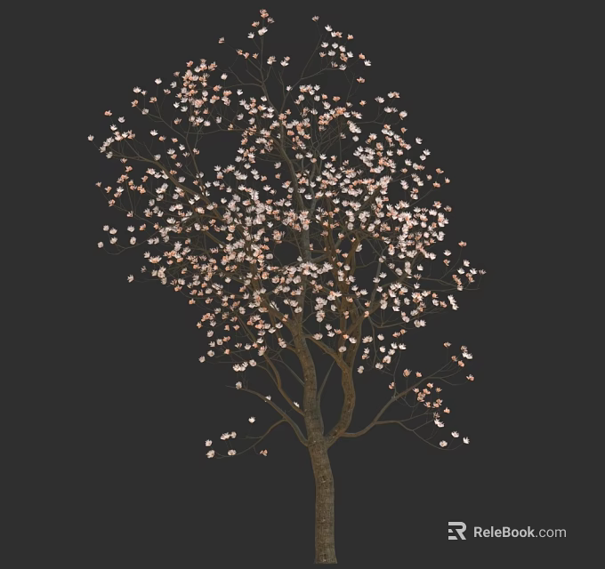 Beautiful Single Tree With Blooming Pink Flowers Against Dark Background 3d model 