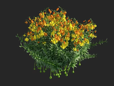 Vibrant Yellow and Orange Flowers With Green Leaves and Hanging Small Green Fruits 3d model