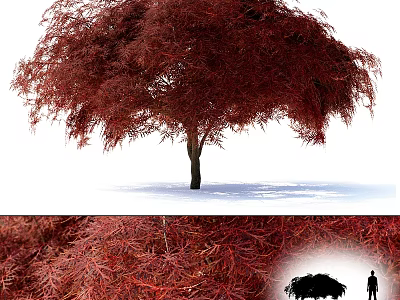 Decorative Red Tree Ornament Decoration Set With Scenic Design And Artificial Foliage 3d model