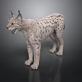 Realistic Lynx Figure With Spotted Fur And Pointed Ears Standing On Dark Surface