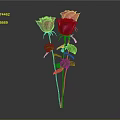 Vibrant Pink Roses With Green Stems And Leaves On Gray Background