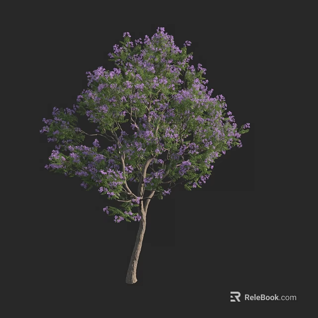 Purple Flowering Arbor With Lush Green Leaves And Branches Against Black Background 3d model 