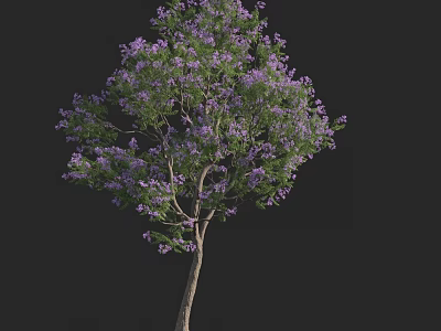 Purple Flowering Arbor With Lush Green Leaves And Branches Against Black Background 3d model