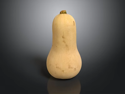 Fresh Light Yellow Butternut Squash Isolated With Spots On Black Background 3d model