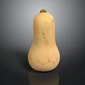 Fresh Light Yellow Butternut Squash Isolated With Spots On Black Background