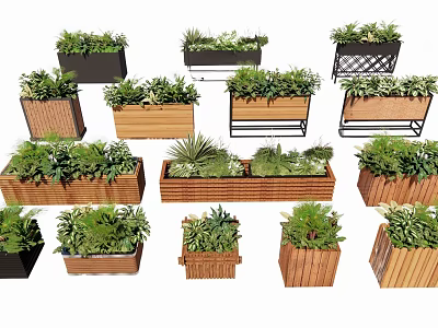 Assorted Green Plants in Decorative Wooden and Metal Planters for Home 3d model