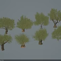 Olive Trees Featuring Green Foliage And Trunks In Various Shapes Isolated On White