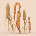 Organic Ginseng Roots with Long Fibrous Tails as Traditional Natural Health Food
