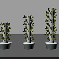 Vertical Farming Agricultural Equipment with White Column Structures Bases and Green Plants
