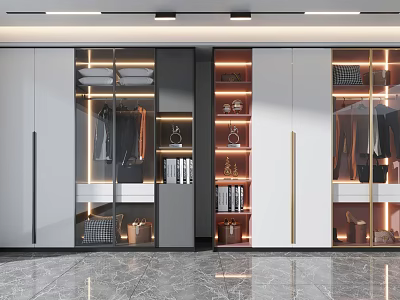 Modern Elegant Wardrobe Design With Glass Doors LED Lighting And Storage Shelves 3d model