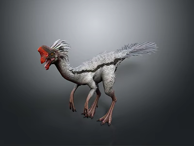 Realistic 3D Rendering of Feathered Dinosaur With Red Head and Gray Plumage 3d model
