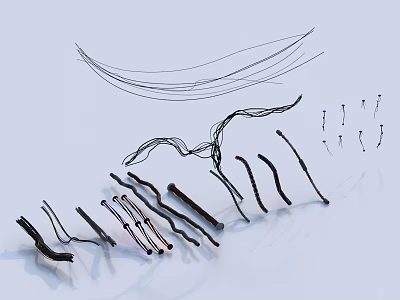 Creative Abstract Black Wire Art Pieces With Curved Lines And Unique Shapes 3d model