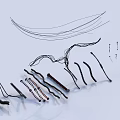 Creative Abstract Black Wire Art Pieces With Curved Lines And Unique Shapes