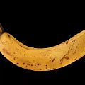 Ripe Banana With Brown Spots On Black Background Curved Shape