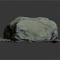 Natural Green Stone with Wooden Base Featuring Decorative Plants and Mossy Surface Texture
