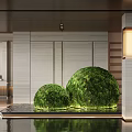Modern Entryway Hallway Design With Illuminated Moss Balls And Reflective Flooring