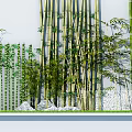 Lush Bamboo Plants and Decorative Fence in Garden with Stones and Grass